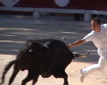 LA CAMARGUE 230px-10