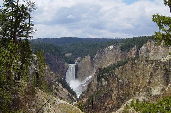 REPORTAGE : le Yellowstone Park 800px-12