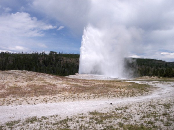REPORTAGE : le Yellowstone Park 800px-15