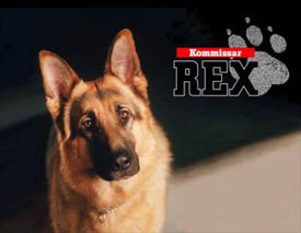 REPORTAGE : Rex, chien flic Rex10