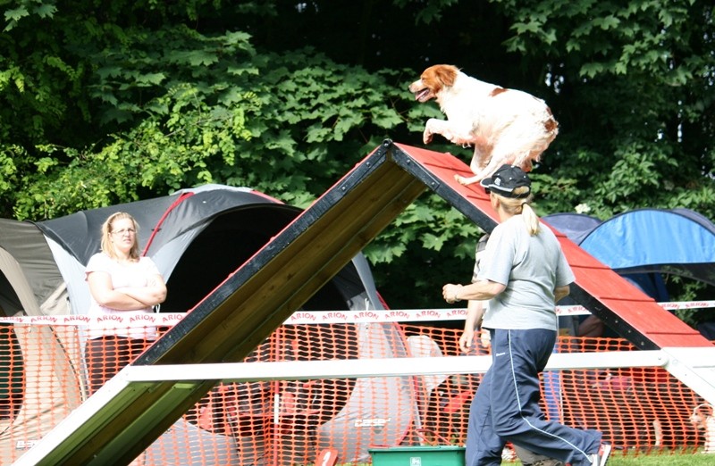 Photos du concours d'agility  Bellecourt 13 juin 2009 Redim210