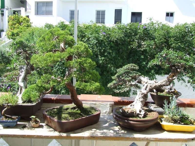 mi terraza en la costa tropical de granada Imagen74