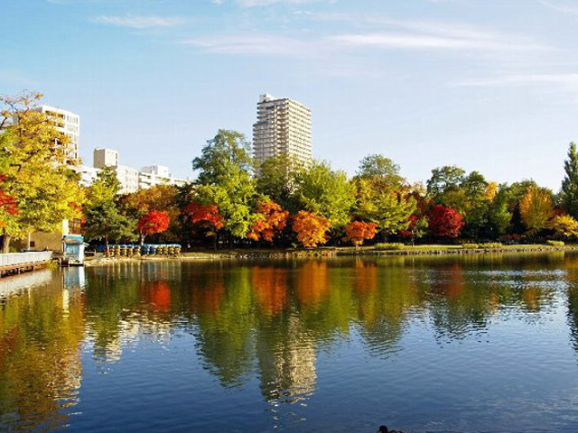 1ère visite: Sapporo Parc_n10