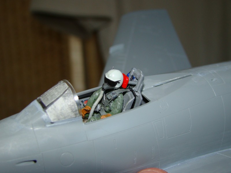 F86F SABRE 1/48 [Hasegawa]  Pilote13