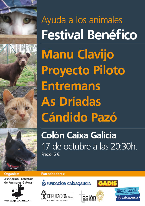 Festival para recaudar fondos el 17 de octubre Festiv10