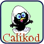Boutique Codes Caliko10