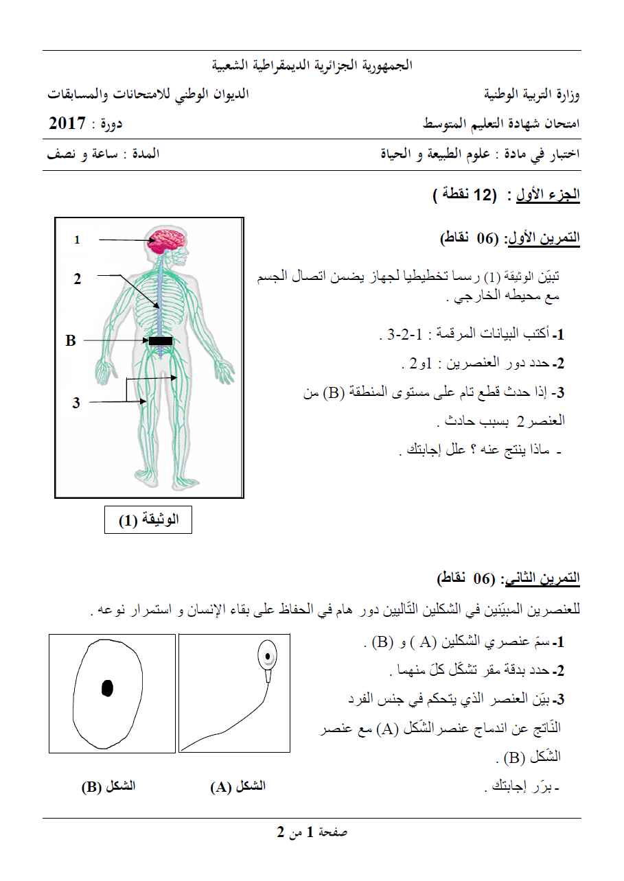 الموضوع و الإجابة النموذجية لاختبار علوم الطبيعة و الحياة (BEM 2017) 0111