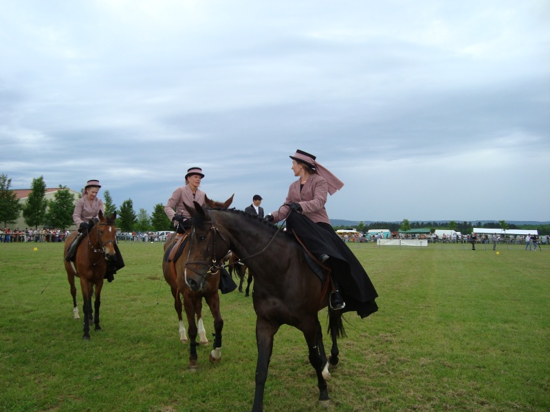 Fête du Cheval en Haute-Marne (52) Dsc01012