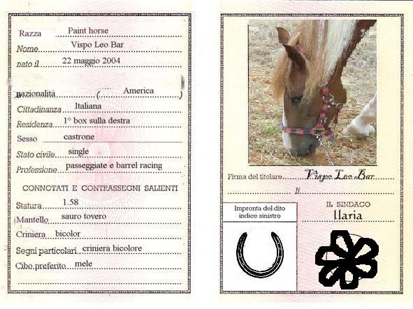Carta d'identità dei nostri lalli - Pagina 2