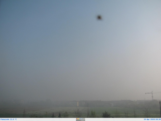 Nebbia stamattina!!! Webcam17