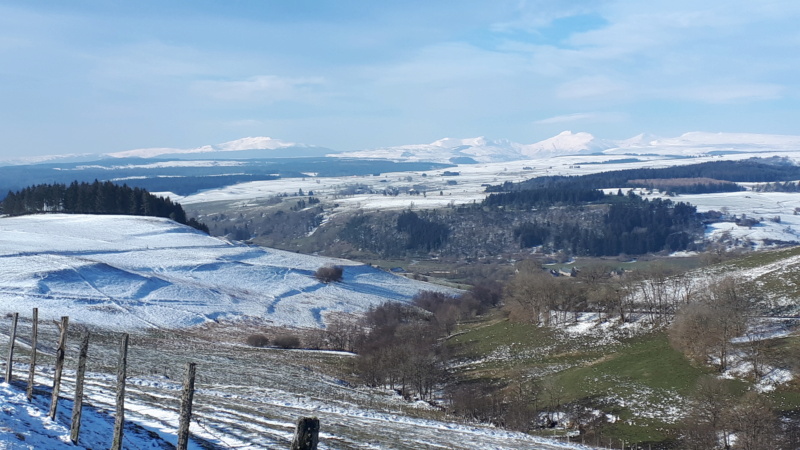 Photo du jour dans le Cantal - Page 5 20210310