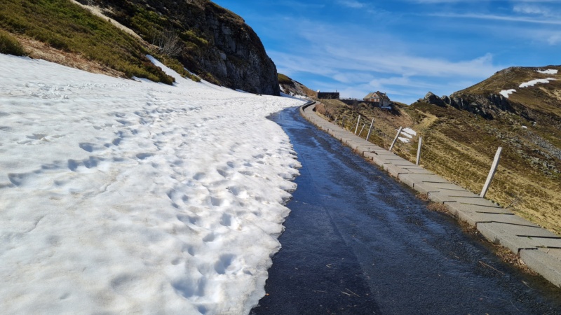 Entre col de Serre et Puy Mary - Page 3 20240411