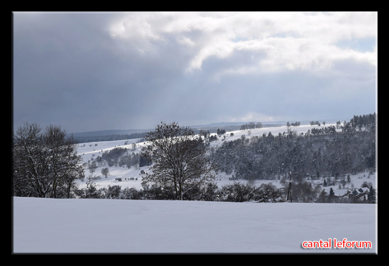 Autour d'Allanche (week end du 2 février 2019) Dsc_2212