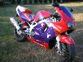 Petite restauration d'une Ducati 998 P7280015