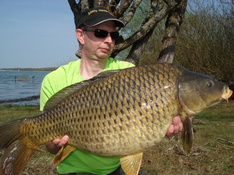 Lac du Der Dsc00510