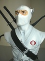 Collection n°163 : Deathmask78 - Grosse MAJ en page 1 Storm_11