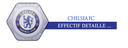 Candidate/Chelsea/ Effect12