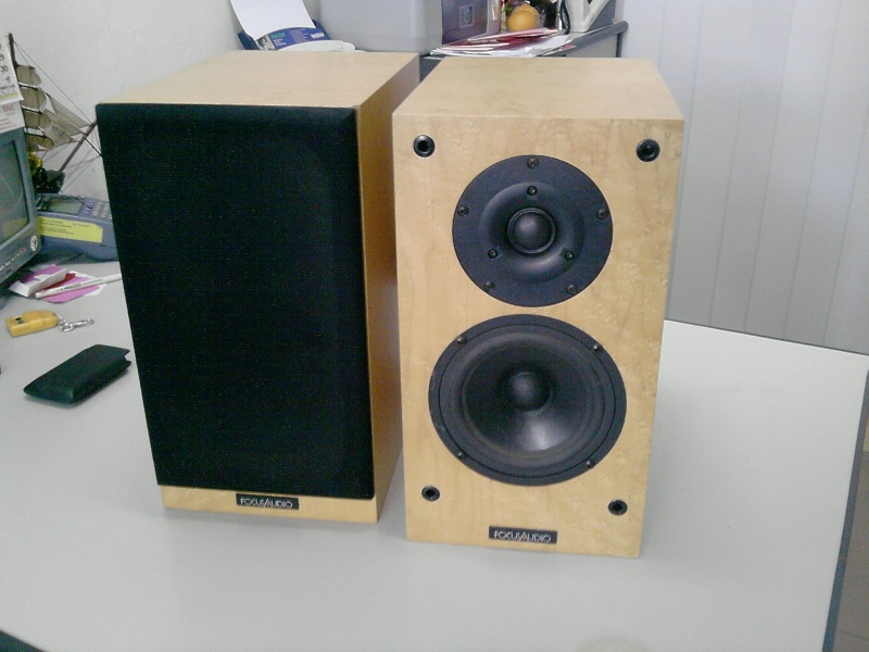 Focus Audio FC-10 speakers (Used) sold P3001010