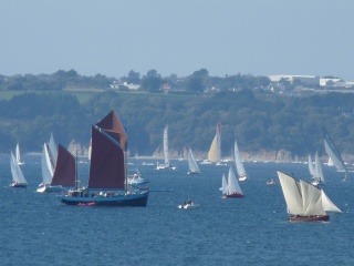 Eté indien en Bretagne P1060315