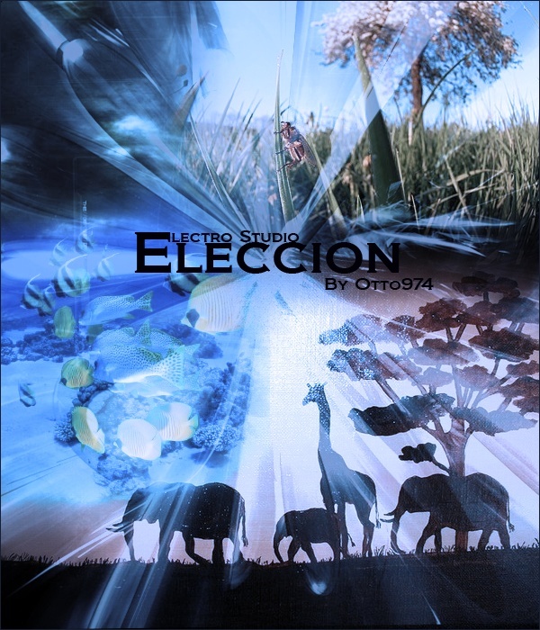 [MMV]Eleccion by Otto 974 Ellecc10