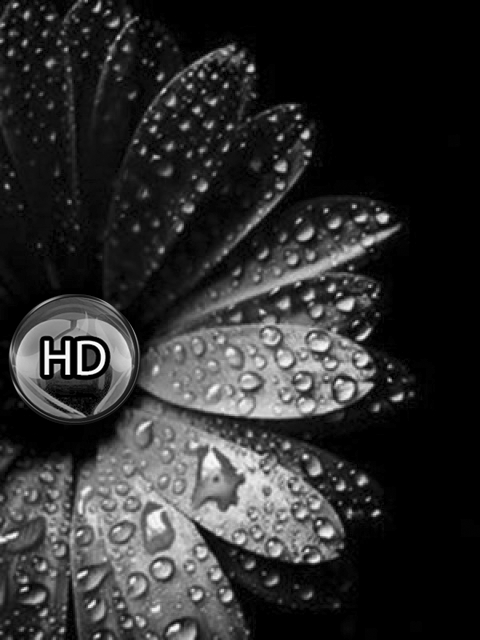 3 ème CONCOURS "BLACK HD ULTIMATE " : Bootscreen, animated, welcomehead - Page 3 Sweet10