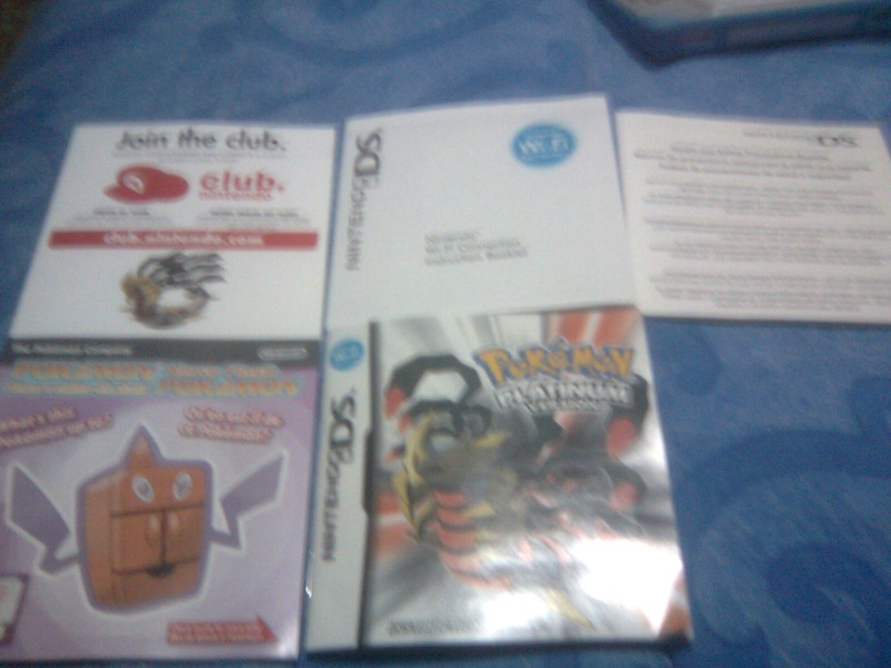 MI POKEMON PLATINUM Pictur19