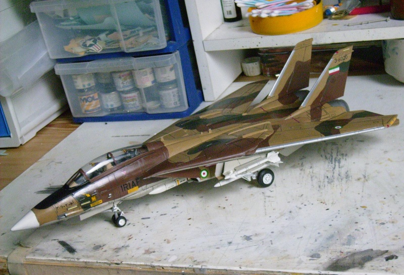 F-14A Tomcat Iran air force - Monogram 1/48 F-14a_22