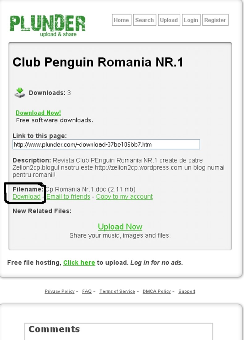Club Penguin Romania NR.1 Cats10