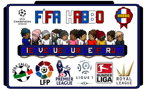 Le site officiel de la FIFA Habbo, petit terrain.