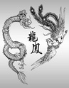 DRAGONS AND SNAKES - Page 2 Chines10