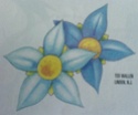 FLOWERS - Page 2 Dsc01813
