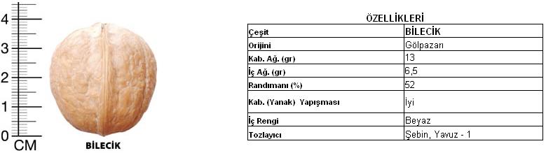 Bilecik (gölpazarı) Bileci10