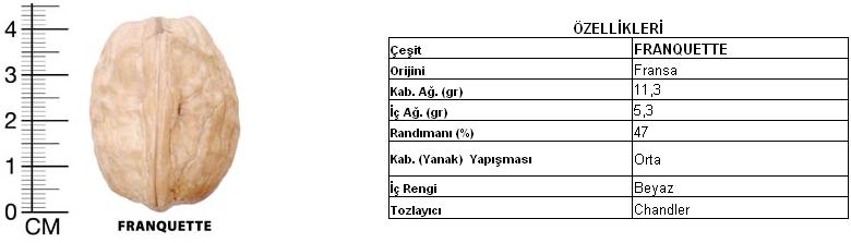 Franquette (fransız) Franqu10