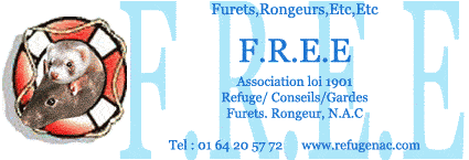 REFUGE F.R.E.E Logo10