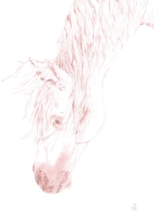 Vos dessins de chevaux - Page 3 Cheval10