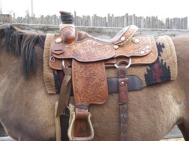 15.5" Qualifier Roping saddle - Excellent condition! Ccqrop10