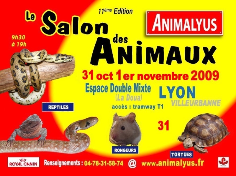 SALON DE LYON Affich18