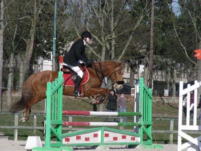 pti chevaux/poney par roulie 16202710