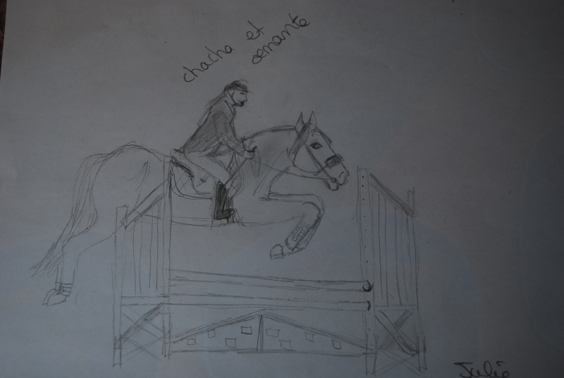 pti chevaux/poney par roulie Dsc_0720