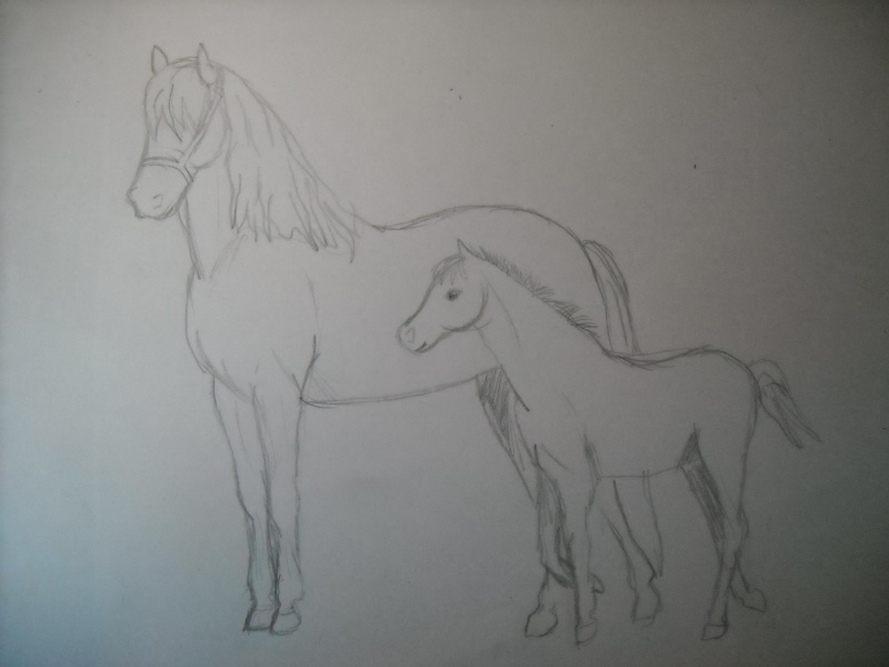 pti chevaux/poney par roulie - Page 3 Dscn1523
