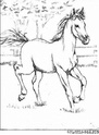 pti chevaux/poney par roulie - Page 2 Normal31