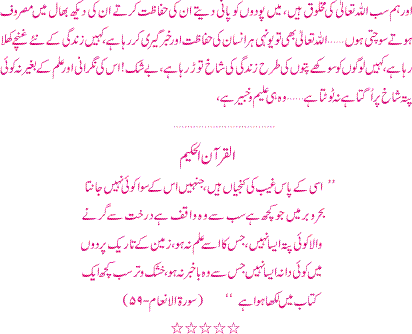 ] (Urdu)….Heraan....................... 33333310