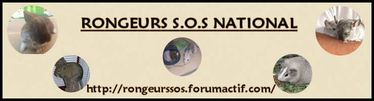 RONGEURS  S.O.S NATIONAL