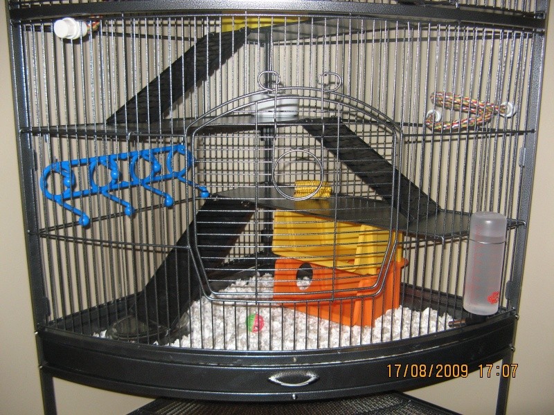 Ma nouvelle cage!! Nouvelles photos! :) Img_0212