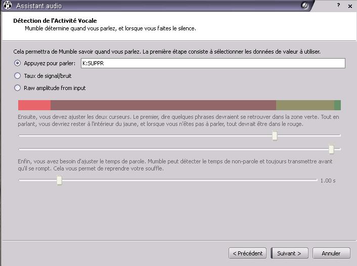 Notre serveur vocal Mumble10
