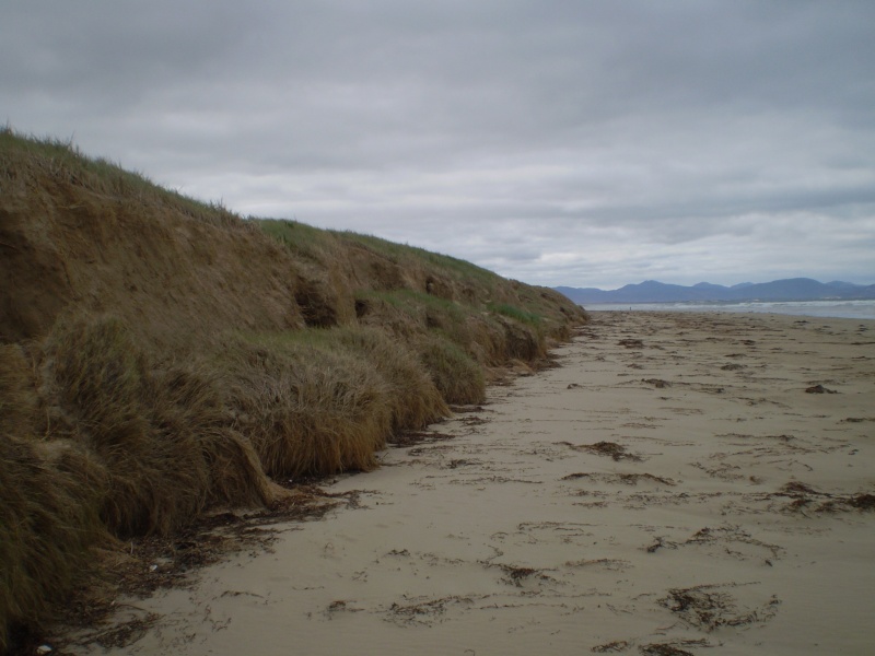 Storm surge damage around Waratah Bay Pa180611