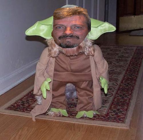 Nous avons retrouvé Maitre Yoda Yoda10