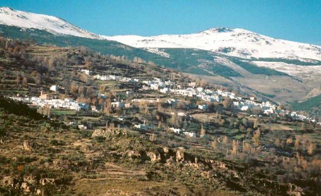 CORAZN DE LA ALPUJARRA EN CENIZAS Alpuja10