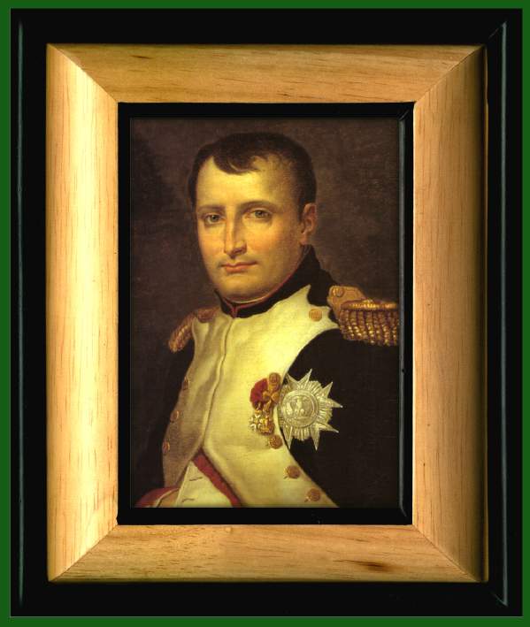 Biographie de Napoleon Bonaparte Napole11