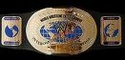 WsW RAW championship ! Inter10